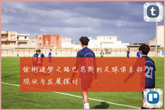 徐彬追梦之路巴恩斯利足球俱乐部现状与发展探讨